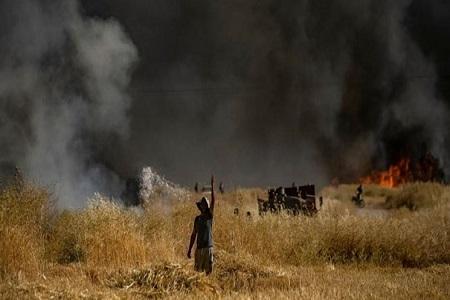 تروریست ها مزارع کشاورزی را در شمال سوریه به آتش کشیدند