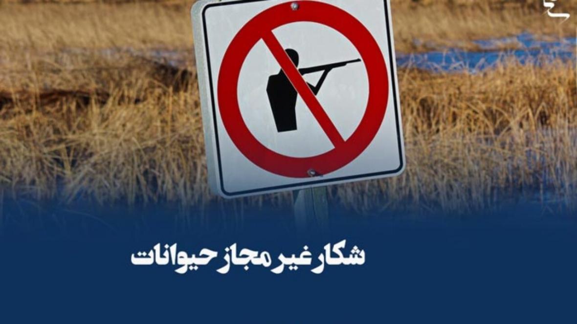 کشف 108 مورد تخلف صید و شکار فقط در 4 ماه در تهران کشف 108 مورد تخلف صید و شکار فقط در 4 ماه در تهران