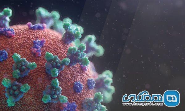 عامل اصلی چرخش ویروس کرونا عادی انگاری مردم است عامل اصلی چرخش ویروس کرونا عادی انگاری مردم است