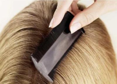 درمان شپش موی سر با ساده ترین روش ها
