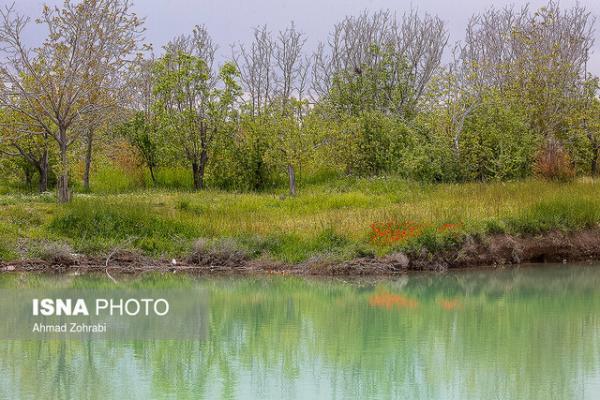 8 نکته درباره آبخیزداری وآبخوان داری 8 نکته درباره آبخیزداری وآبخوان داری