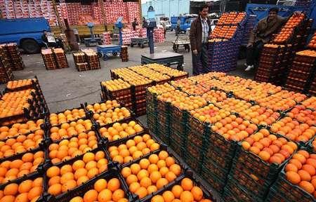 قیمت میوه های تنظیم بازاری در پلتفرم های هوشمند اعلام شد