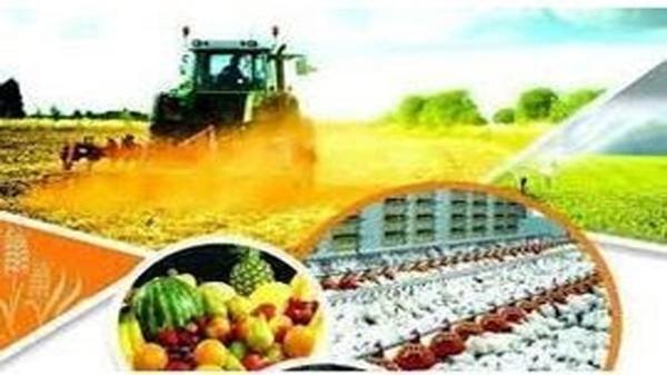 تحقق بیش از 190 درصدی جذب تسهیلات کشاورزی فیروزآباد تحقق بیش از 190 درصدی جذب تسهیلات کشاورزی فیروزآباد